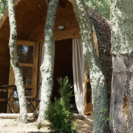 Camping Macanet De Cabrenys Maçanet de Cabrenys