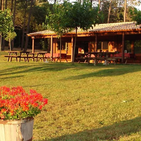 Kemping Camping Macanet De Cabrenys Maçanet de Cabrenys