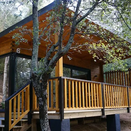 Κάμπινγκ Camping Macanet De Cabrenys Maçanet de Cabrenys
