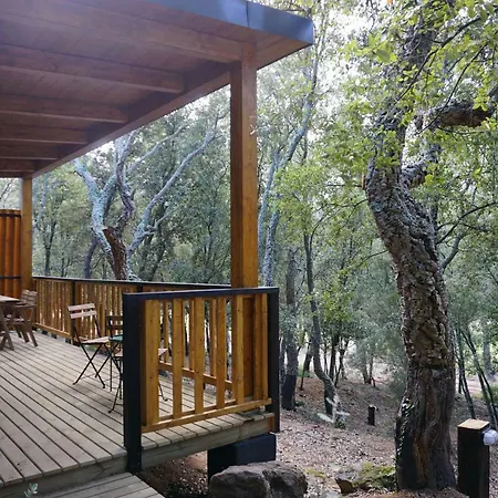 Camping Camping Macanet De Cabrenys Maçanet de Cabrenys