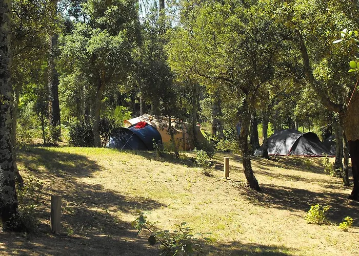 Camping Macanet De Cabrenys 마카네트데카브레니스