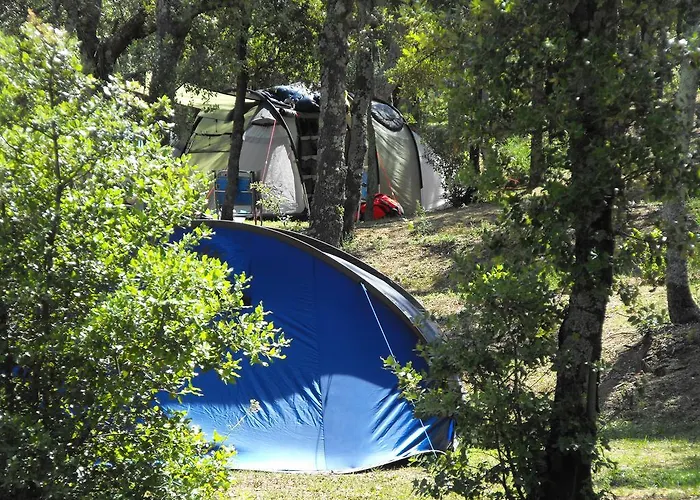 캠프장 Camping Macanet De Cabrenys 마카네트데카브레니스