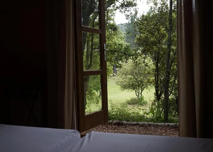 캠프장 Camping Macanet De Cabrenys 마카네트데카브레니스